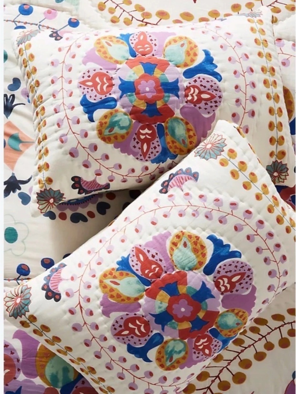 Set of 2 Anthropologie Delissa queen pillow shams